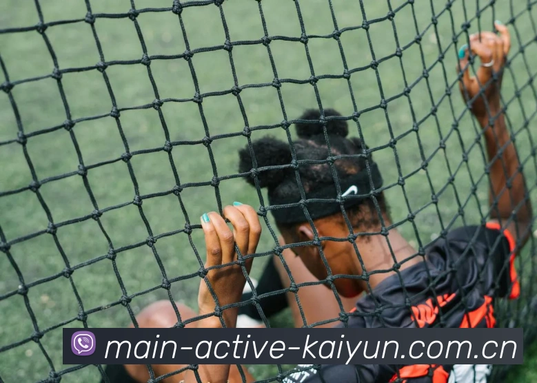 3D机芯